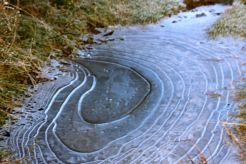 This icy puddle reminded me of a weather chart